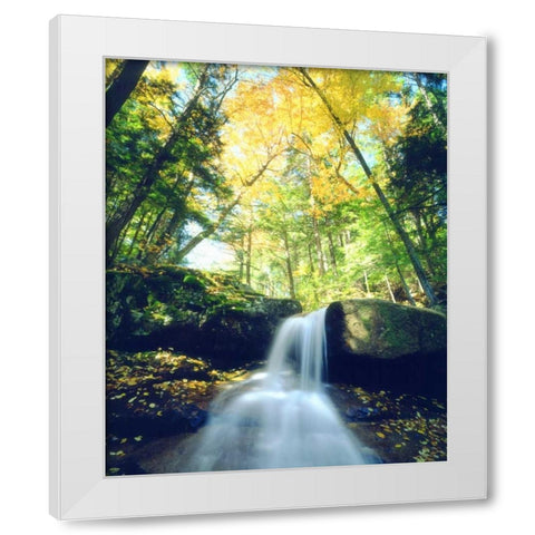 New Hampshire, A waterfall in the White Mountains White Modern Wood Framed Art Print by Talbot Frank, Christopher