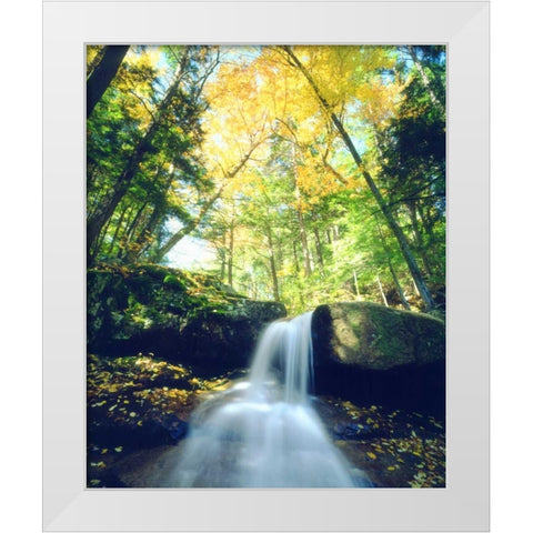 New Hampshire, A waterfall in the White Mountains White Modern Wood Framed Art Print by Talbot Frank, Christopher