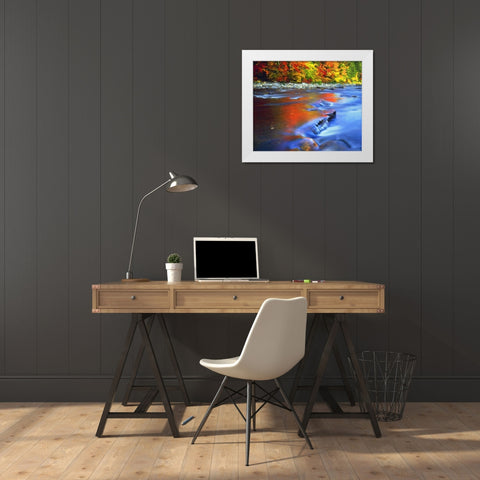 NH, White Mts, Swift River reflecting Autumn White Modern Wood Framed Art Print by Talbot Frank, Christopher
