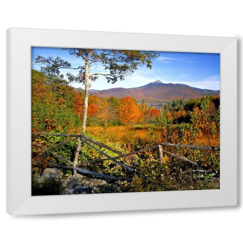 NH, Chocorua Autumn landscape of Mount Chocorua White Modern Wood Framed Art Print by Terrill, Steve