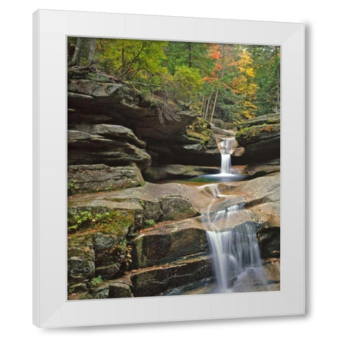 New Hampshire, White Mountains NF Sabbady Falls White Modern Wood Framed Art Print by Terrill, Steve