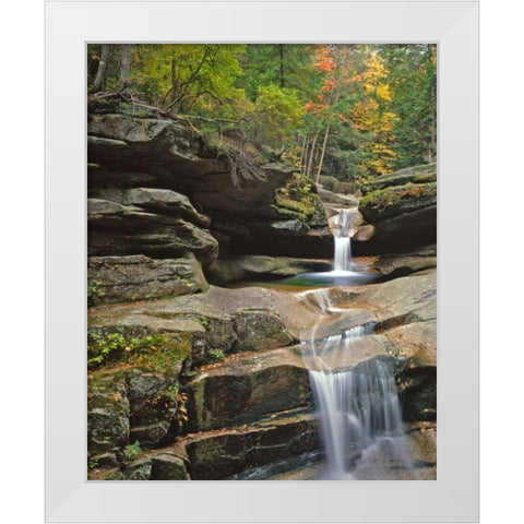 New Hampshire, White Mountains NF Sabbady Falls White Modern Wood Framed Art Print by Terrill, Steve