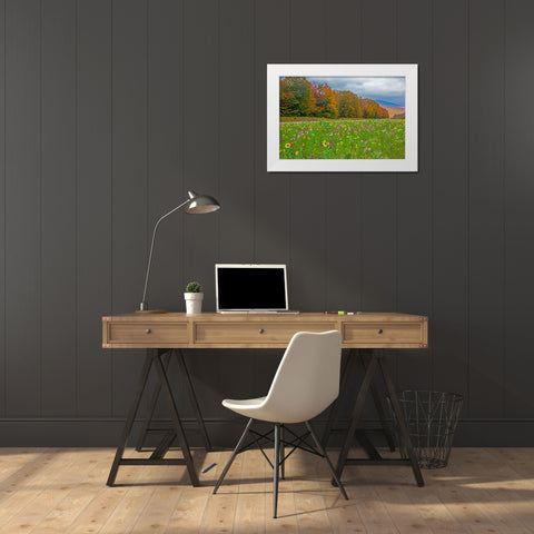 USA-New Hampshire-White Mountains in background with meridian planted with flowers along Interstate White Modern Wood Framed Art Print by Gulin, Sylvia