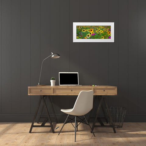 USA-New Hampshire meridian planted with sunflowers and cosmos flowers along Interstate 95 White Modern Wood Framed Art Print by Gulin, Sylvia