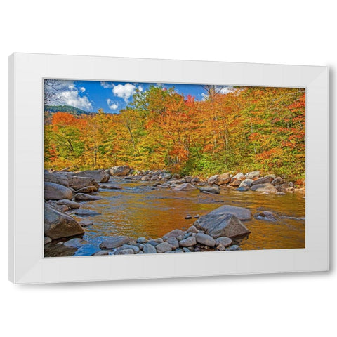 USA-New Hampshire-White Mountains National Forest and Swift River along Highway 112 in Autumn from  White Modern Wood Framed Art Print by Gulin, Sylvia
