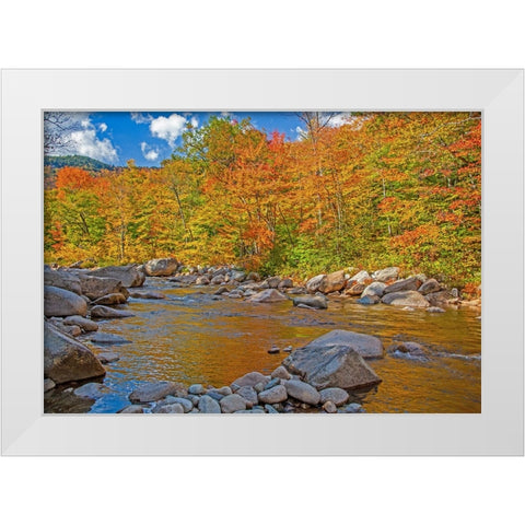USA-New Hampshire-White Mountains National Forest and Swift River along Highway 112 in Autumn from  White Modern Wood Framed Art Print by Gulin, Sylvia