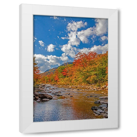USA-New Hampshire-White Mountains National Forest and Swift River along Highway 112 in Autumn from  White Modern Wood Framed Art Print by Gulin, Sylvia