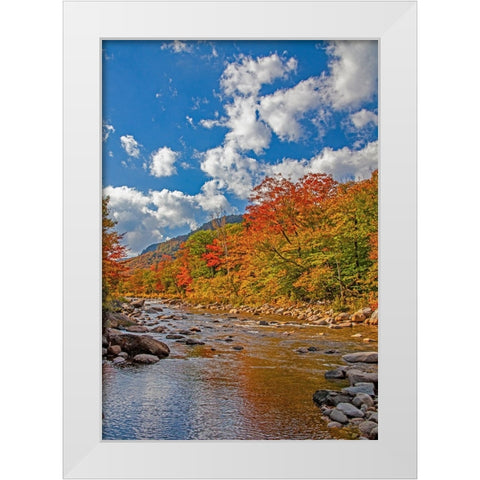 USA-New Hampshire-White Mountains National Forest and Swift River along Highway 112 in Autumn from  White Modern Wood Framed Art Print by Gulin, Sylvia