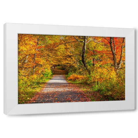 USA-New Hampshire-Franconia-one lane roadway with fallen Autumn leaves and lined with Fall colored  White Modern Wood Framed Art Print by Gulin, Sylvia