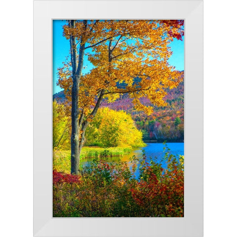 USA-New Hampshire-Franconia-small lake surrounded by Fall color of Maple-White Birch-and American B White Modern Wood Framed Art Print by Gulin, Sylvia