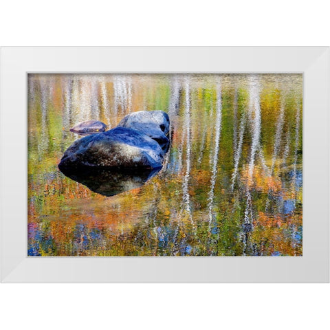 USA-New Hampshire-Gorham Autumn colors reflected in small pond White Modern Wood Framed Art Print by Gulin, Sylvia