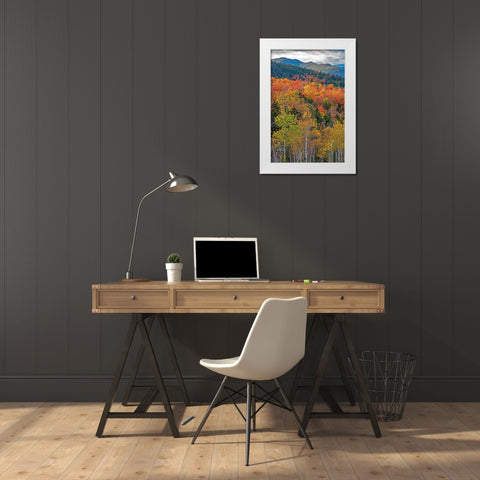 USA-New Hampshire-New England Fall colors on hillsides along highway 16 north of Jackson White Modern Wood Framed Art Print by Gulin, Sylvia