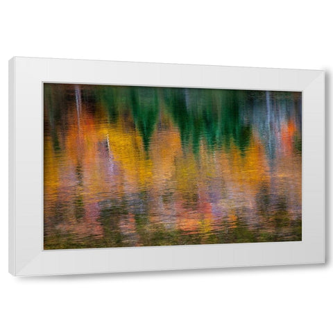 USA-New Hampshire-New England Fall colors reflected in the waters of the Saco River Crawford Notch  White Modern Wood Framed Art Print by Gulin, Sylvia