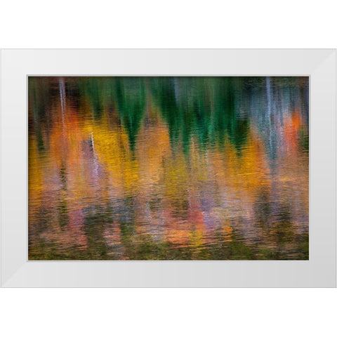 USA-New Hampshire-New England Fall colors reflected in the waters of the Saco River Crawford Notch  White Modern Wood Framed Art Print by Gulin, Sylvia