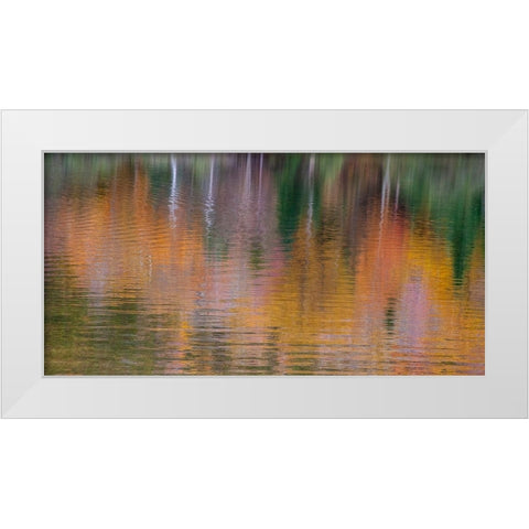 USA-New Hampshire-New England Fall colors reflected in the waters of the Saco River Crawford Notch  White Modern Wood Framed Art Print by Gulin, Sylvia