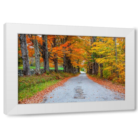 USA-New Hampshire-One lane road lined with Maple trees and stone fence in Autumn White Modern Wood Framed Art Print by Gulin, Sylvia