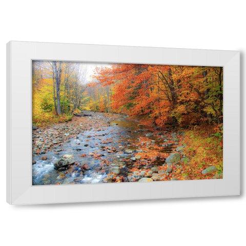 USA-New Hampshire Autumn colors on Maple-Beech trees along the edge of the river White Modern Wood Framed Art Print by Gulin, Sylvia
