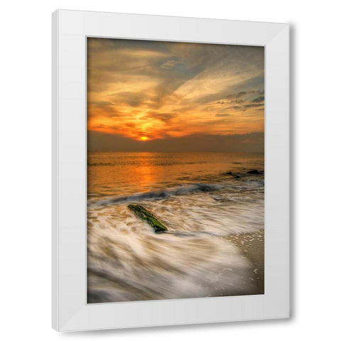 New Jersey, Cape May Scenic on Cape May Beach White Modern Wood Framed Art Print by OBrien, Jay