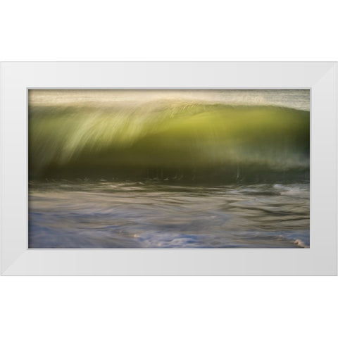USA-New Jersey-Cape May National Seashore White Modern Wood Framed Art Print by Jaynes Gallery