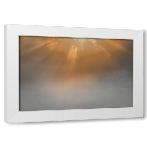 USA-New Jersey-Cape May National Seashore Sunrise beams on foggy ocean White Modern Wood Framed Art Print by Jaynes Gallery