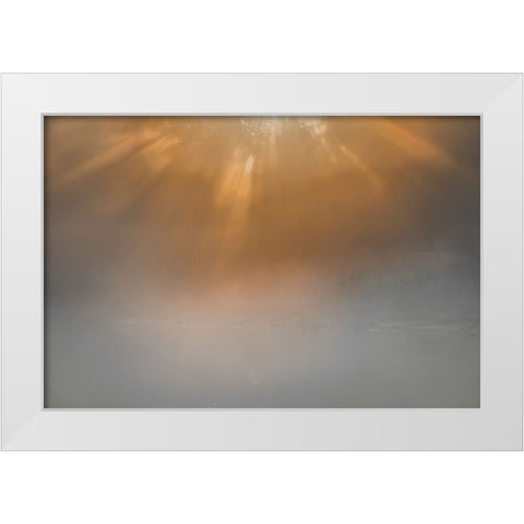 USA-New Jersey-Cape May National Seashore Sunrise beams on foggy ocean White Modern Wood Framed Art Print by Jaynes Gallery