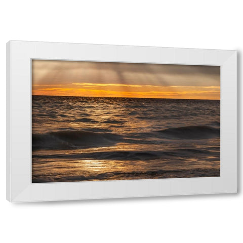 USA-New Jersey-Cape May National Seashore Sunset on ocean shore White Modern Wood Framed Art Print by Jaynes Gallery