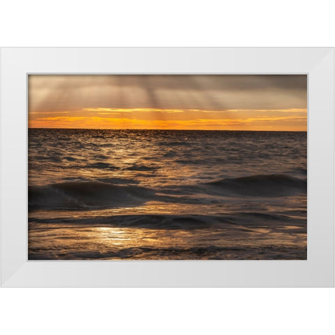 USA-New Jersey-Cape May National Seashore Sunset on ocean shore White Modern Wood Framed Art Print by Jaynes Gallery