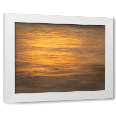 USA-New Jersey-Cape May National Seashore Ocean reflections at sunset White Modern Wood Framed Art Print by Jaynes Gallery