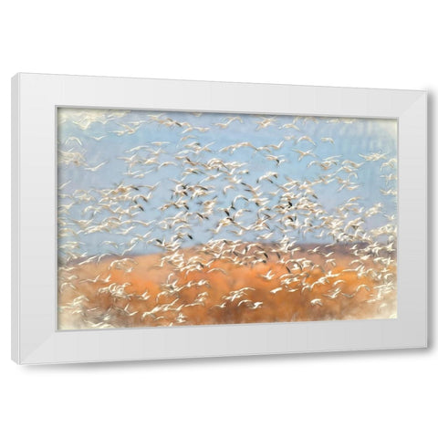 Painting effect on snow geese flying Bosque del Apache National Wildlife Refuge-New Mexico White Modern Wood Framed Art Print by Jones, Adam