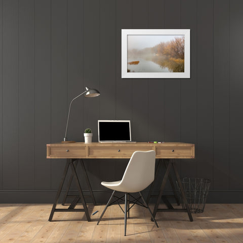 Trees on foggy morning-Bosque del Apache National Wildlife Refuge-New Mexico White Modern Wood Framed Art Print by Jones, Adam