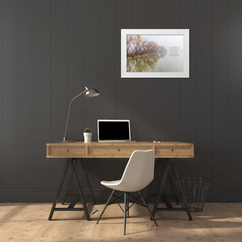 Trees on foggy morning-Bosque del Apache National Wildlife Refuge-New Mexico White Modern Wood Framed Art Print by Jones, Adam