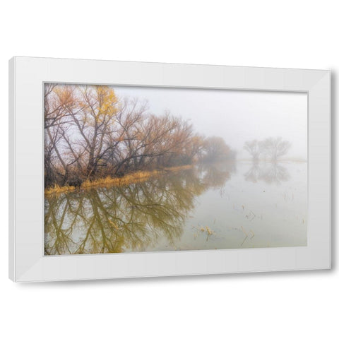 Trees on foggy morning-Bosque del Apache National Wildlife Refuge-New Mexico White Modern Wood Framed Art Print by Jones, Adam