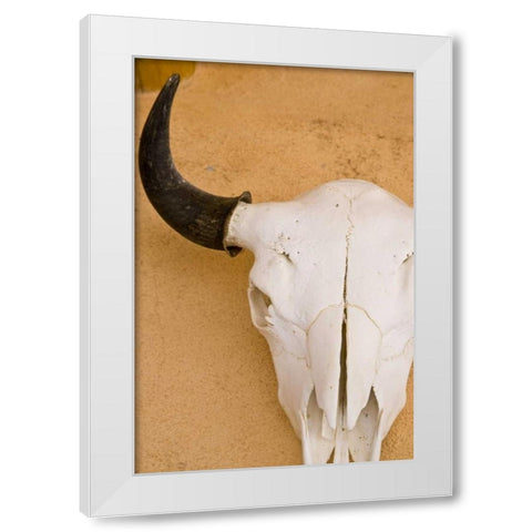 New Mexico, Santa Fe Animal skull on wall White Modern Wood Framed Art Print by Ross, Nancy ,  Steve