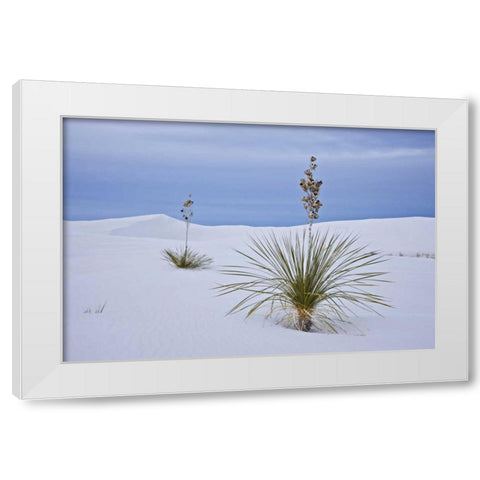 New Mexico, White Sands NM Yucca on sand dunes White Modern Wood Framed Art Print by Grall, Don