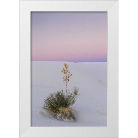 New Mexico, White Sands NM Yucca plant at sunset White Modern Wood Framed Art Print by Illg, Cathy and Gordon