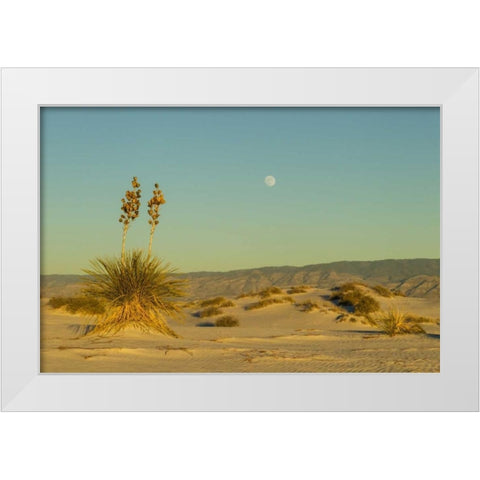 New Mexico, White Sands NM Moonrise over desert White Modern Wood Framed Art Print by Illg, Cathy and Gordon
