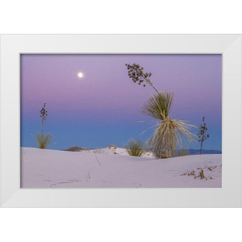 New Mexico, White Sands NM Moonrise over desert White Modern Wood Framed Art Print by Illg, Cathy and Gordon