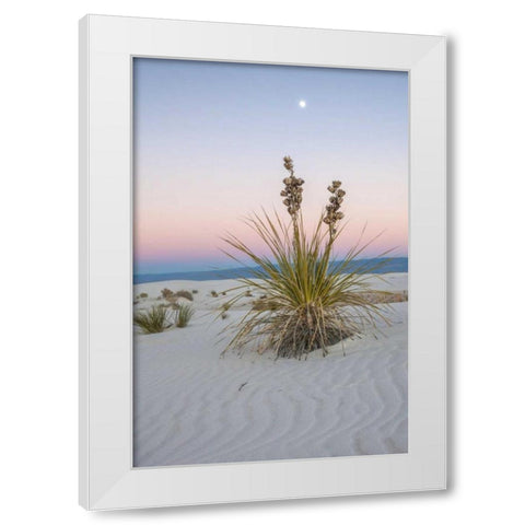 New Mexico, White Sands NM Moon over yucca plant White Modern Wood Framed Art Print by Illg, Cathy and Gordon