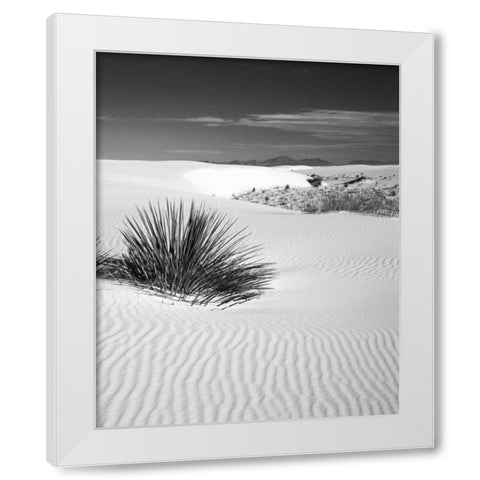 New Mexico, White Sands NM Bush in desert sand White Modern Wood Framed Art Print by Flaherty, Dennis