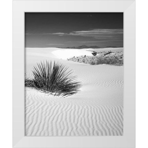 New Mexico, White Sands NM Bush in desert sand White Modern Wood Framed Art Print by Flaherty, Dennis