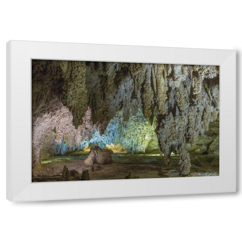 New Mexico, Carlsbad Caverns Scenic of cavern White Modern Wood Framed Art Print by Paulson, Don