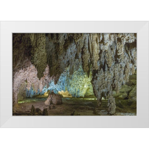 New Mexico, Carlsbad Caverns Scenic of cavern White Modern Wood Framed Art Print by Paulson, Don