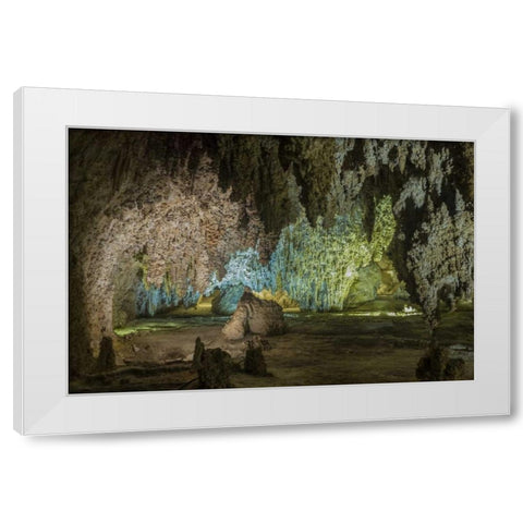 New Mexico, Carlsbad Caverns Scenic of cavern White Modern Wood Framed Art Print by Paulson, Don
