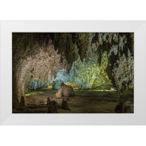 New Mexico, Carlsbad Caverns Scenic of cavern White Modern Wood Framed Art Print by Paulson, Don