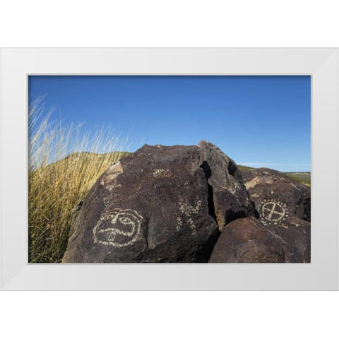 New Mexico, Three Rivers Petroglyph etchings White Modern Wood Framed Art Print by Paulson, Don