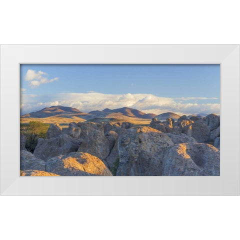 New Mexico, City of Rocks Landscape of boulders White Modern Wood Framed Art Print by Paulson, Don