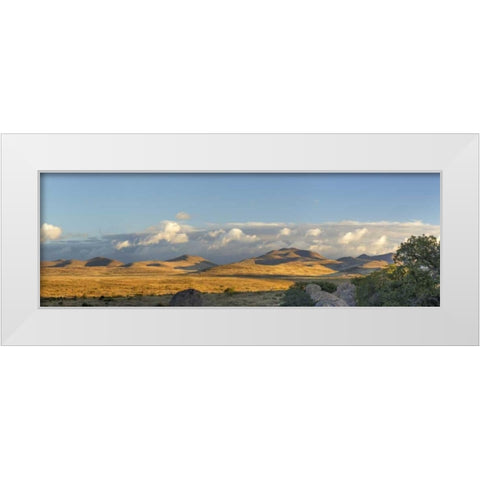 New Mexico, City of Rocks SP Panoramic composite White Modern Wood Framed Art Print by Paulson, Don