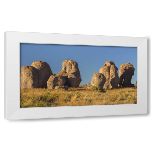 New Mexico, City of Rocks SP Ravens on a boulder White Modern Wood Framed Art Print by Paulson, Don