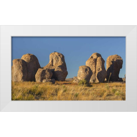 New Mexico, City of Rocks SP Ravens on a boulder White Modern Wood Framed Art Print by Paulson, Don