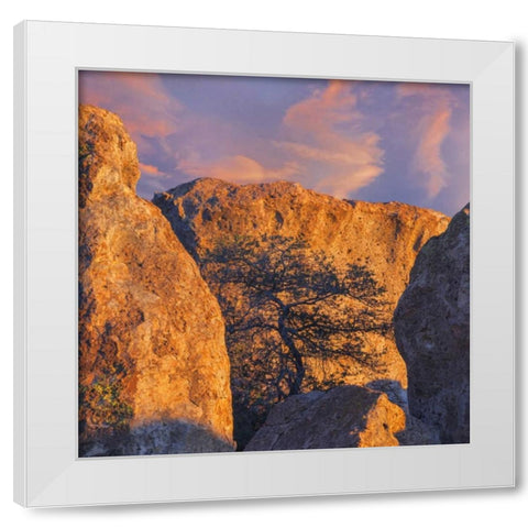 New Mexico, City of Rocks SP Sunset on boulders White Modern Wood Framed Art Print by Paulson, Don